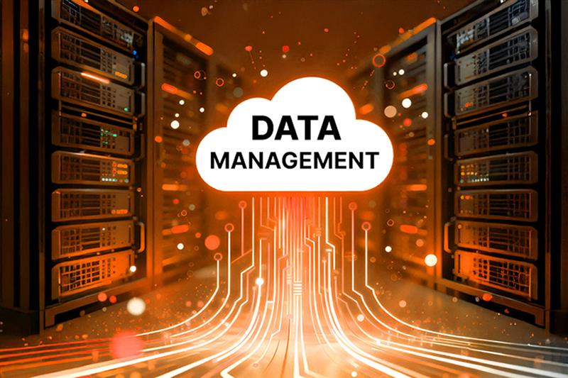 Master Data Management Guide: What the Best Companies Get Right (and Everyone Else Misses)