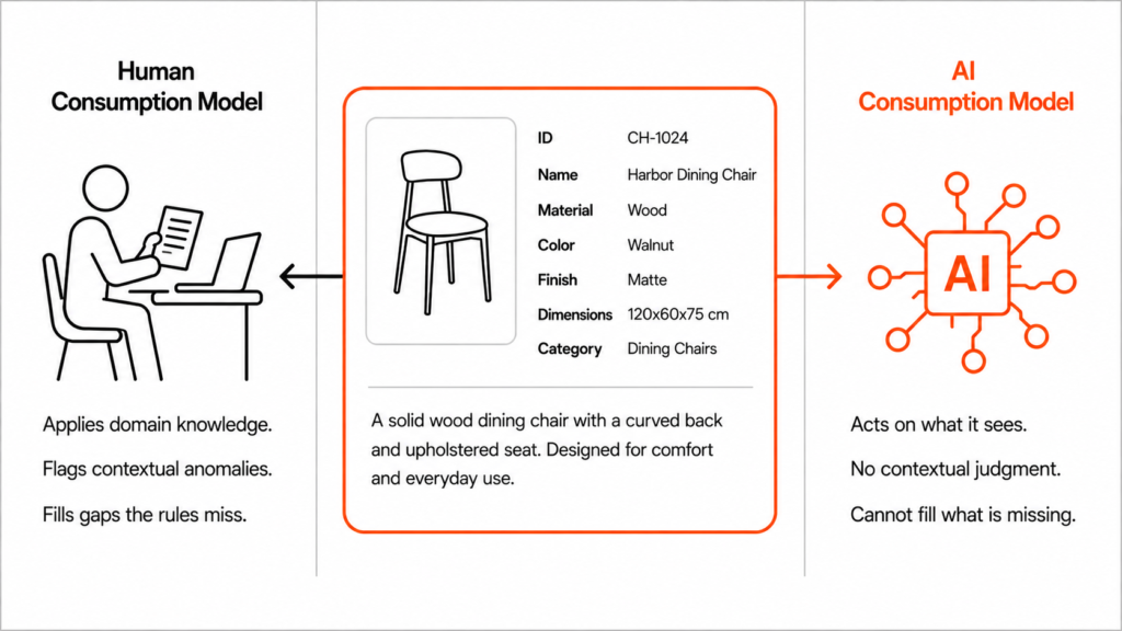 Flat editorial infographic showing a central product data card for a Harbor Dining Chair with two diverging paths — left path leading to a human reviewer icon labelled Human Consumption Model with descriptors applying domain knowledge, flagging contextual anomalies, and filling gaps the rules miss, and right path leading to an AI network icon labelled AI Consumption Model with descriptors acting on what it sees, no contextual judgment, and cannot fill what is missing